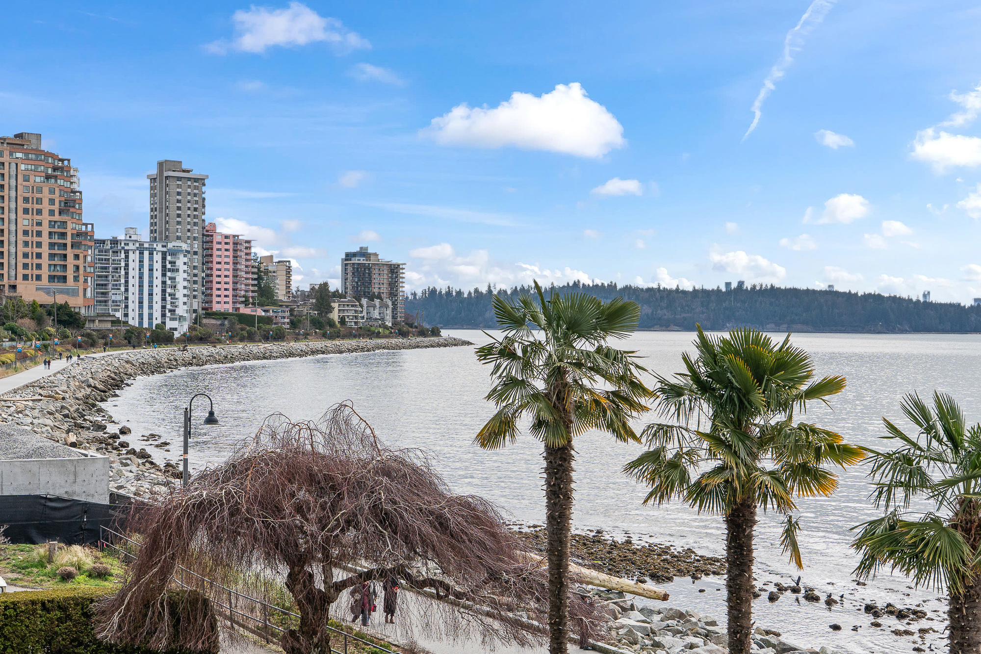 #203 - 150 24th Street